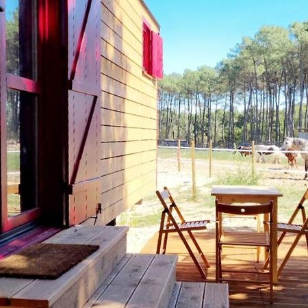 Roulottes Cocooning Au Coeur Des Landes Mées Exterior foto