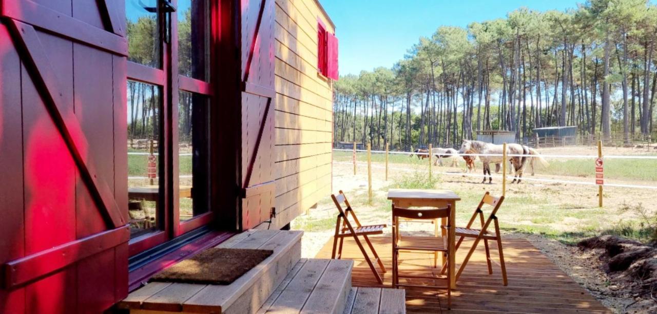 Roulottes Cocooning Au Coeur Des Landes Mées Exterior foto