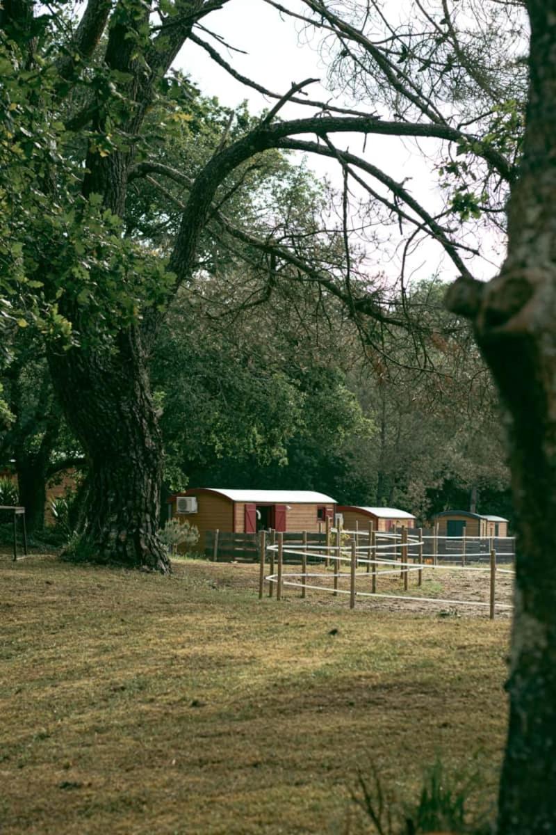Roulottes Cocooning Au Coeur Des Landes Mées Exterior foto