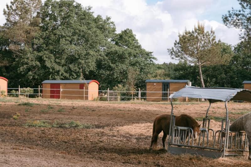 Roulottes Cocooning Au Coeur Des Landes Mées Exterior foto